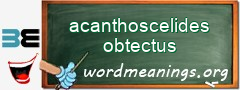 WordMeaning blackboard for acanthoscelides obtectus